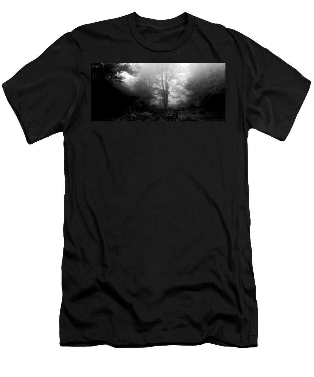Misty T-Shirt featuring the photograph Misty Morning with Tree Silhouettes by A Macarthur Gurmankin
