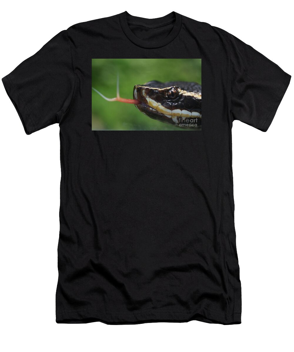 Nature T-Shirt featuring the photograph Moccasin Snake by Rudi Prott