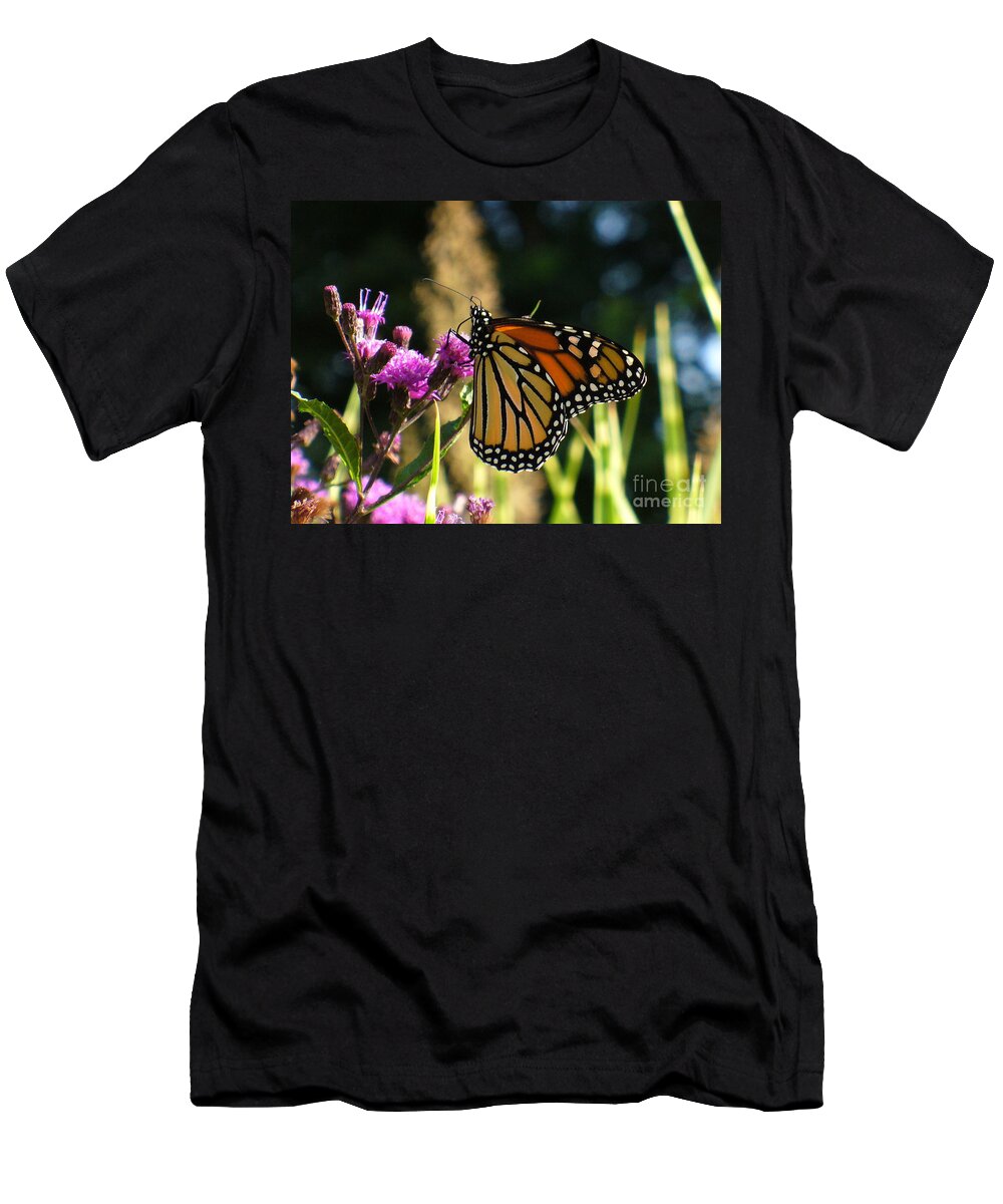 Garden T-Shirt featuring the photograph Monarch Butterfly by Lingfai Leung