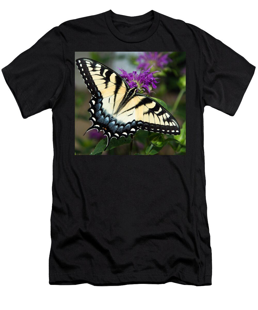 Cindy Archbell T-Shirt featuring the photograph Monarch on Purple by Cindy Archbell
