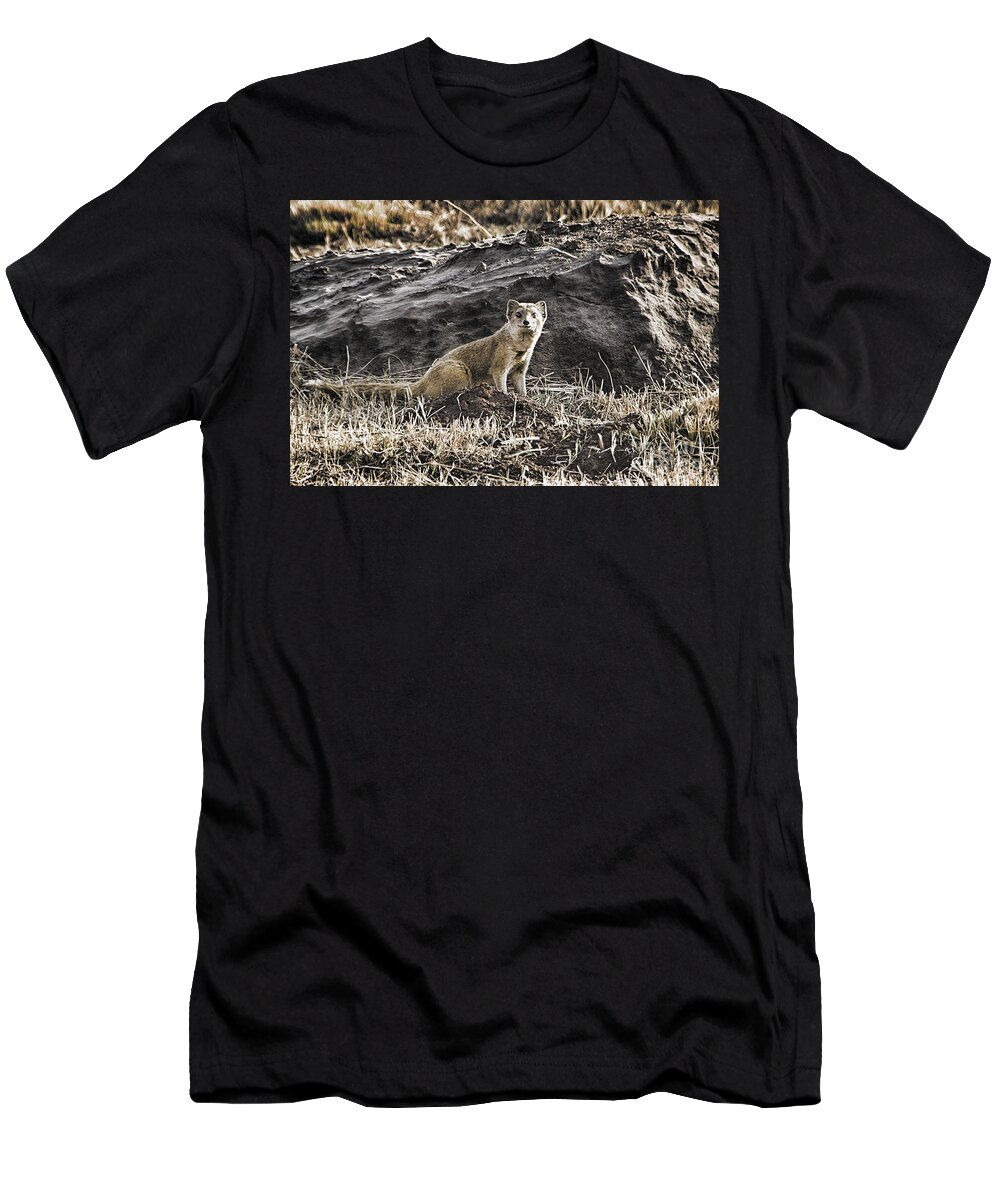 Mongoose T-Shirt featuring the photograph Mongoose-South Africa by Douglas Barnard