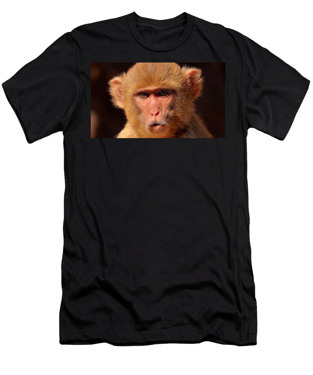 Monkey T-Shirt featuring the photograph Making Monkey Eyes - Amarkantak India by Kim Bemis