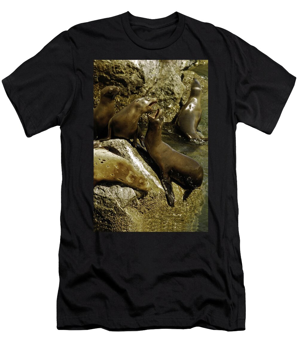 Seals T-Shirt featuring the photograph Monterey Bay where the seals play by LeeAnn McLaneGoetz McLaneGoetzStudioLLCcom