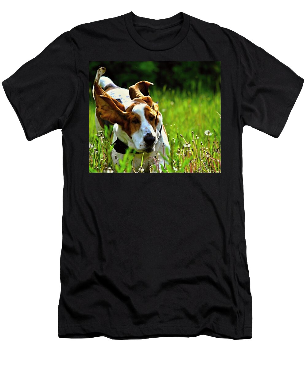 Dog Photo T-Shirt featuring the photograph Basset Hound running 2 by Marysue Ryan