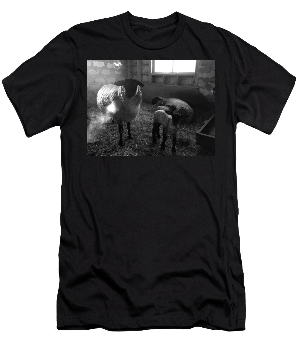 Farm Animals T-Shirt featuring the photograph Morning Breath 2 by Carrie Godwin