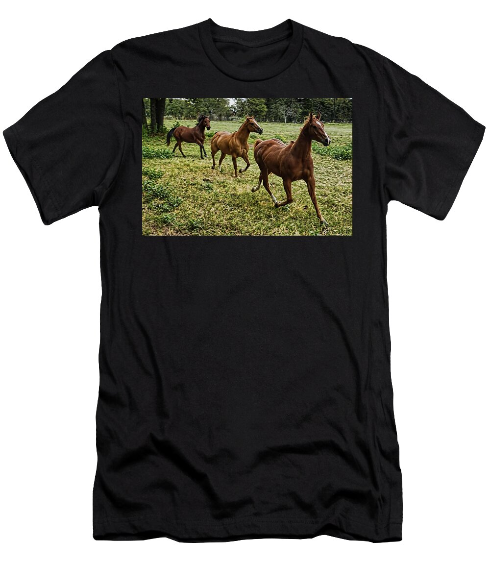 Horses T-Shirt featuring the photograph Morning Run by Shannon Story