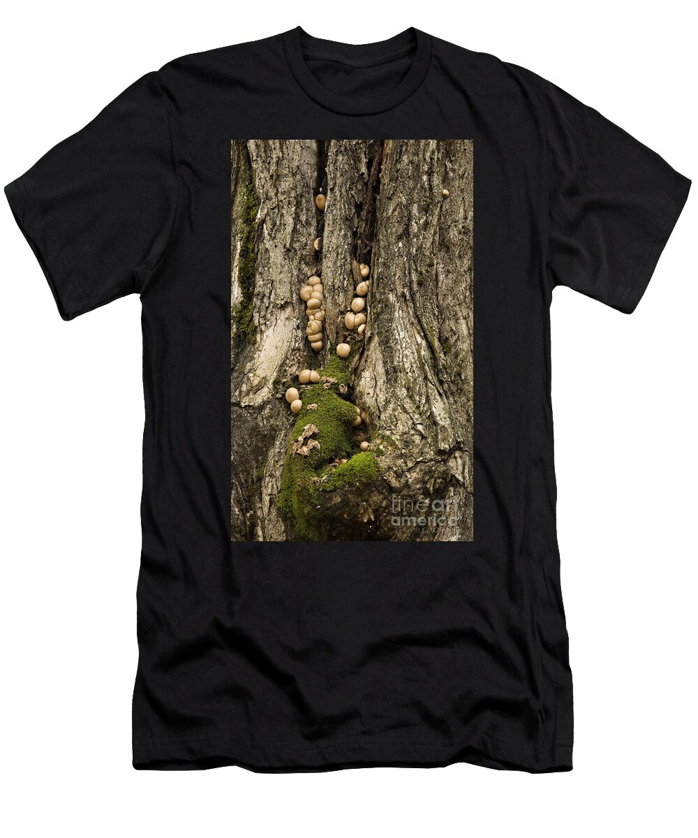 Fungus T-Shirt featuring the photograph Moss-shrooms on a Tree by Carol Lynn Coronios
