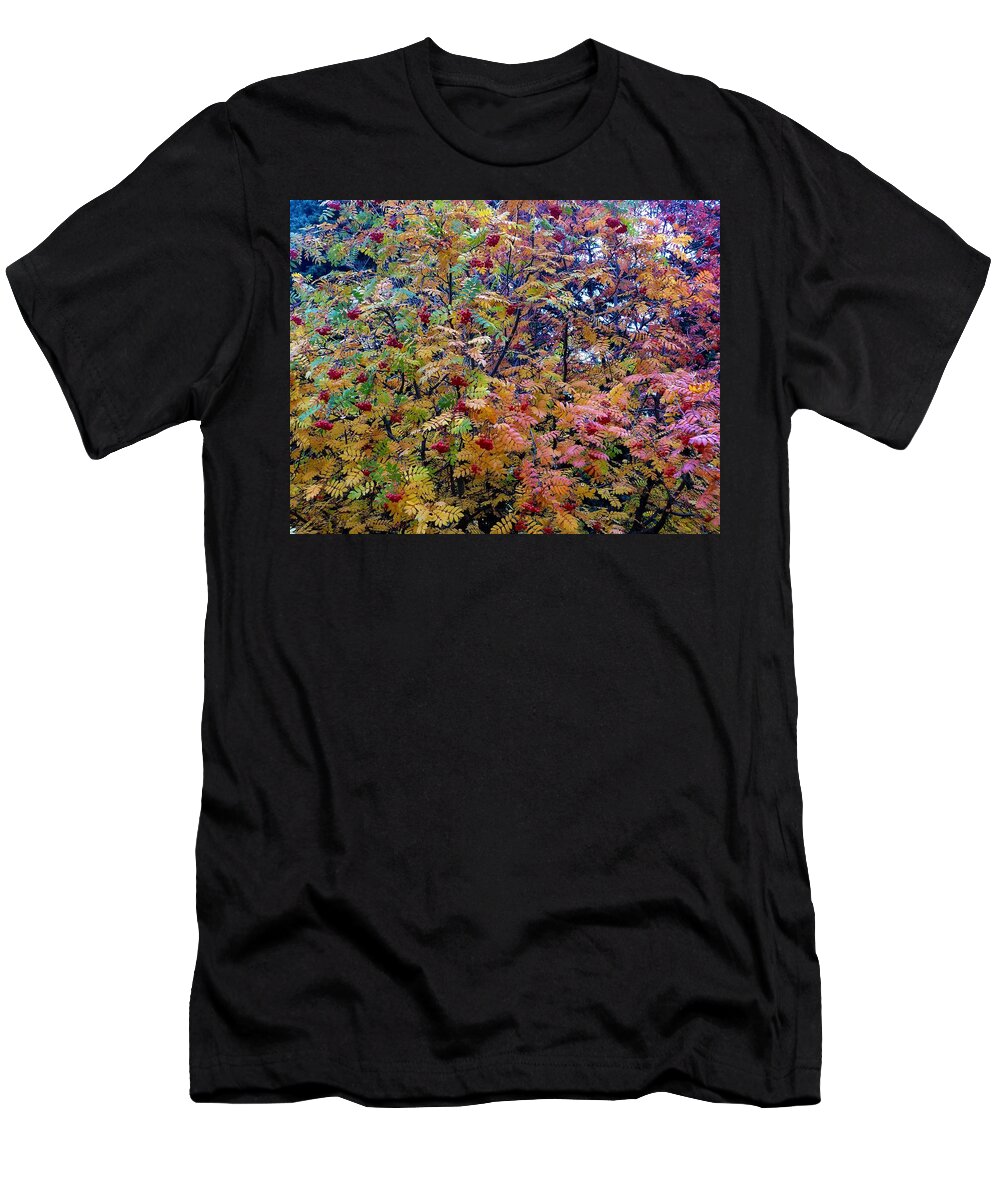 Mountain Ash Magnificence T-Shirt featuring the photograph Mountain Ash Magnificence by Will Borden