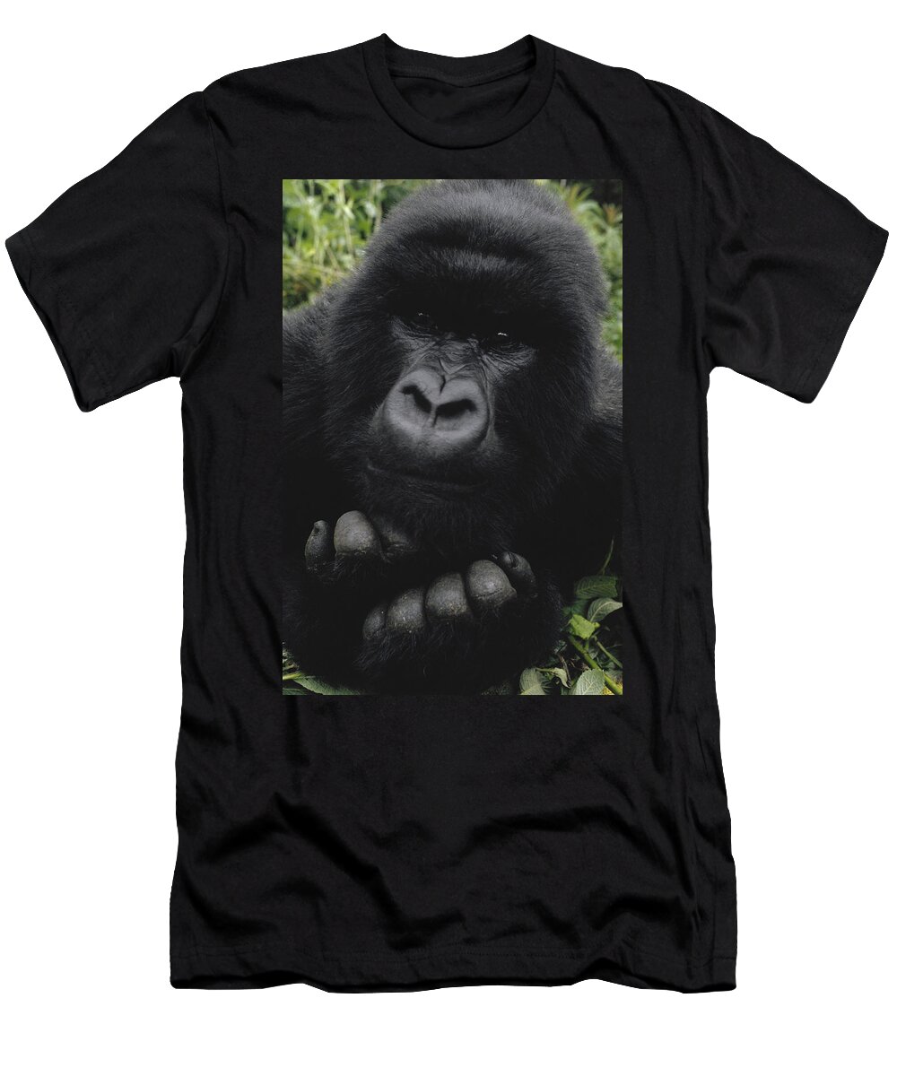 Feb0514 T-Shirt featuring the photograph Mountain Gorilla Juvenile Portrait by Gerry Ellis