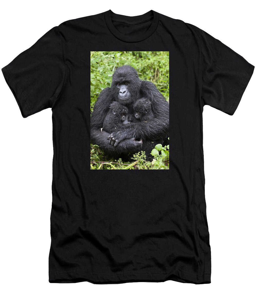 Feb0514 T-Shirt featuring the photograph Mountain Gorilla Mother And Twins by Suzi Eszterhas