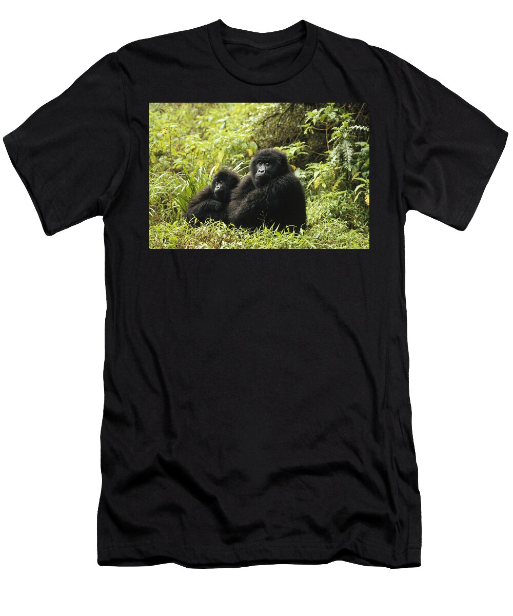 00192673 T-Shirt featuring the photograph Mountain Gorilla Pair Sitting by Konrad Wothe