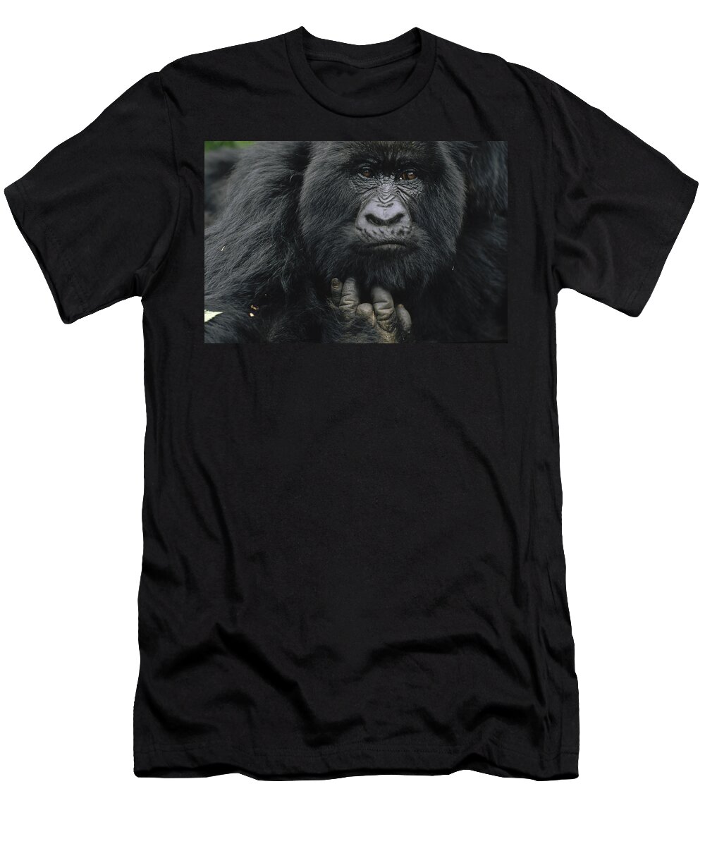 Feb0514 T-Shirt featuring the photograph Mountain Gorilla Showing Finger Lost by Gerry Ellis
