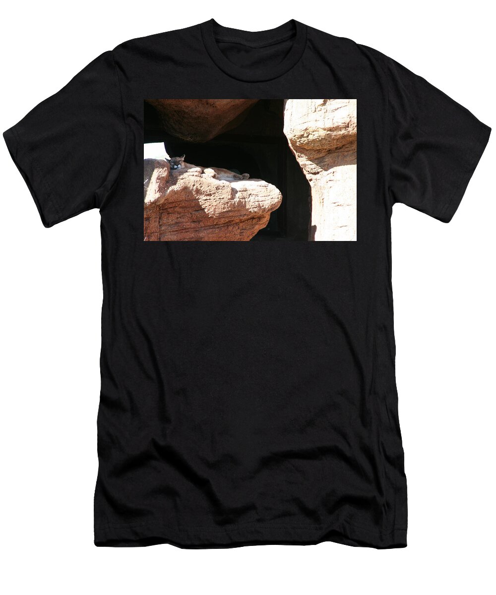 Mountain Lion T-Shirt featuring the photograph Mountain Lion by David S Reynolds