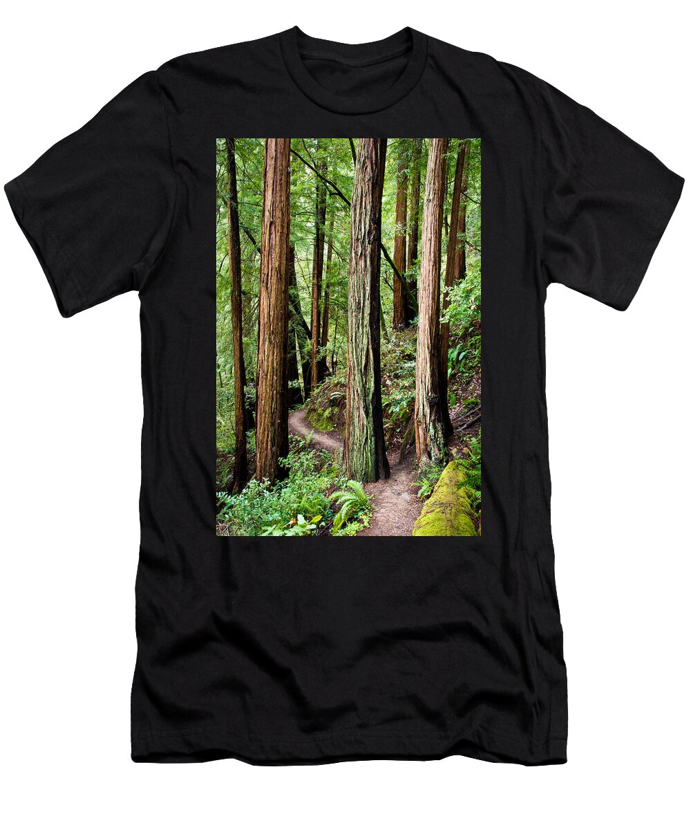 Tree T-Shirt featuring the photograph Muir Woods by Niels Nielsen
