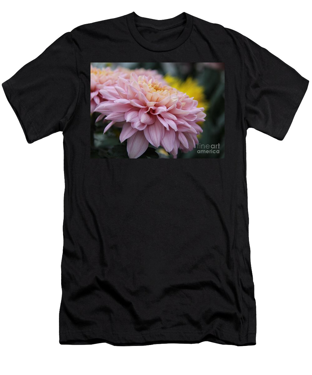 Flower T-Shirt featuring the photograph Mum Rainbow by Adrienne Franklin