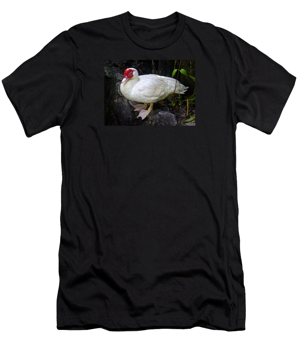 Cairina Moschata T-Shirt featuring the photograph White Muscovy Duck by Venetia Featherstone-Witty