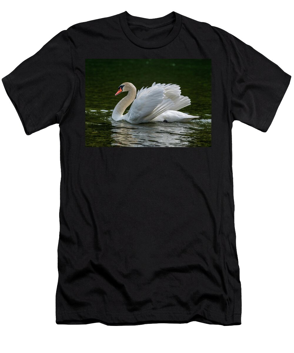 Photography T-Shirt featuring the photograph Mute Swan Cygnus Olor Displaying by Panoramic Images