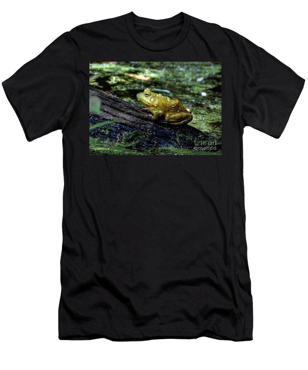 Frog T-Shirt featuring the photograph My Handsome Prince by Kathy Baccari