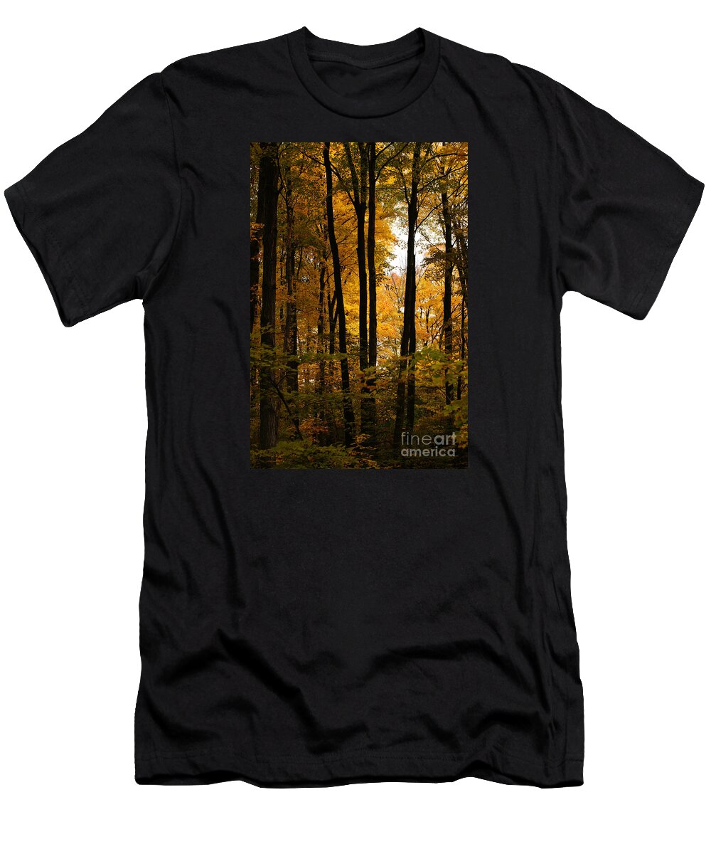 Autumn T-Shirt featuring the photograph My Love For October by Linda Shafer