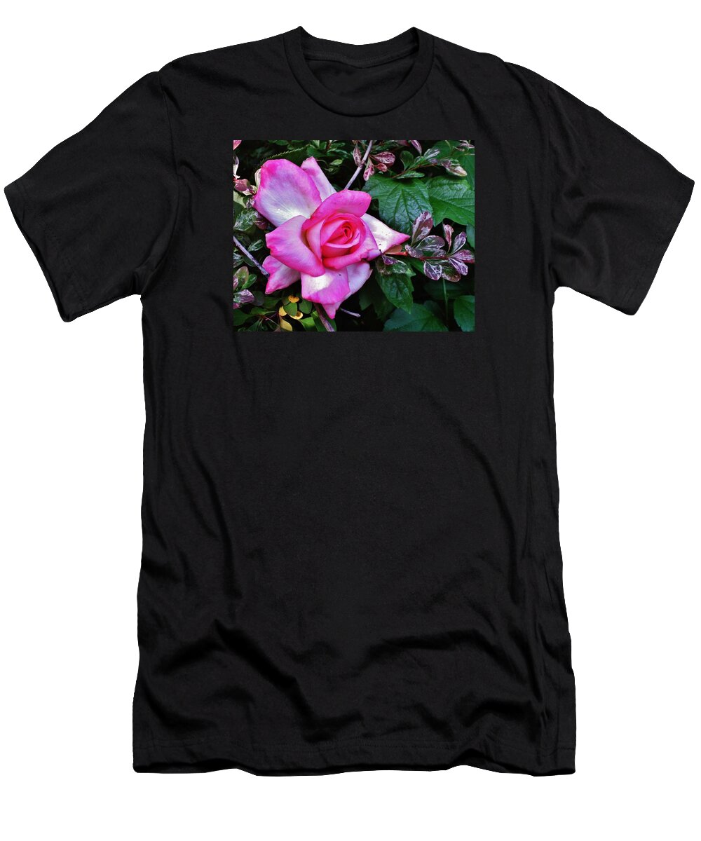 Flower T-Shirt featuring the photograph My Perfect TEA ROSE by VLee Watson