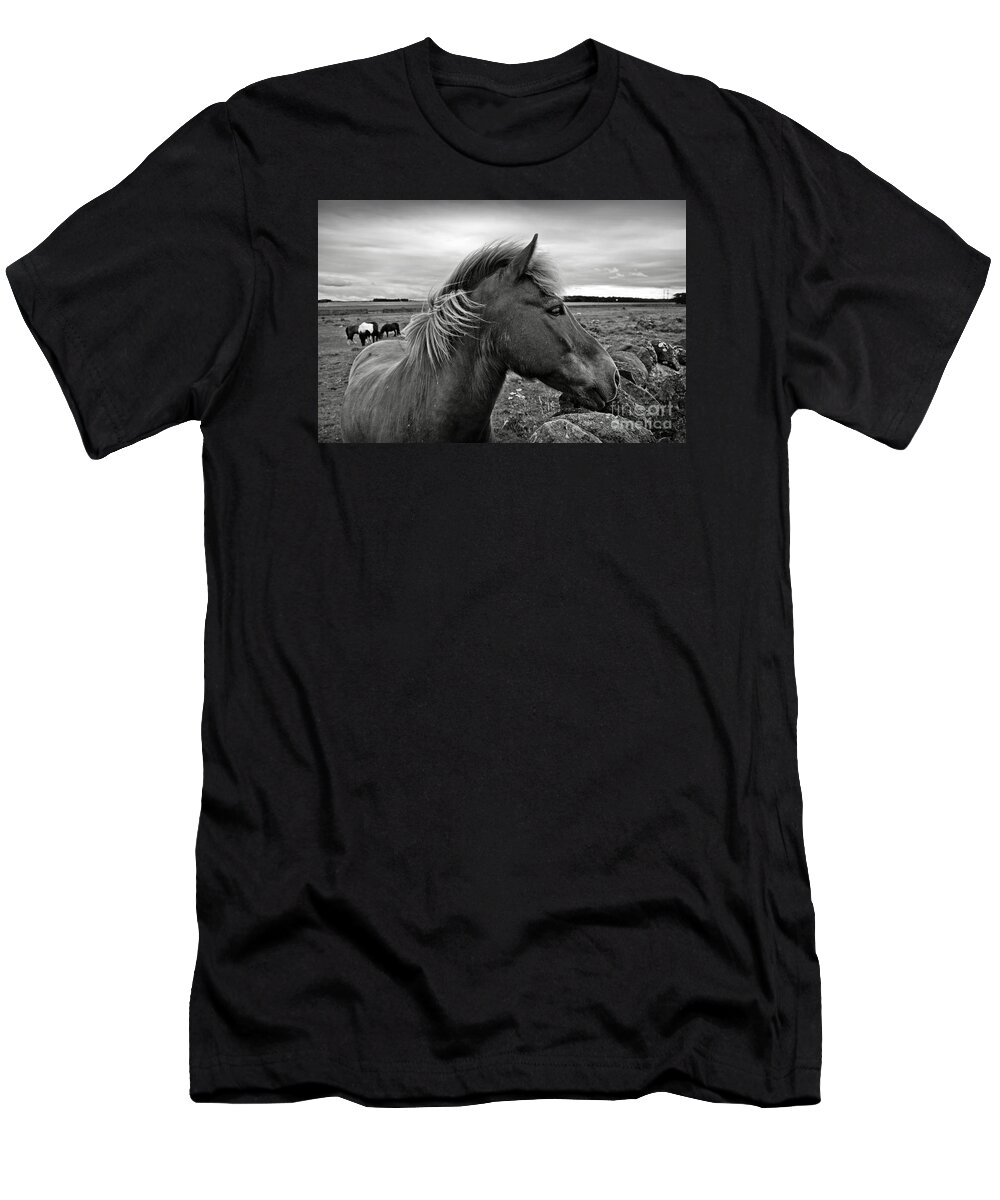 Horse T-Shirt featuring the photograph My Scottish friend by RicardMN Photography