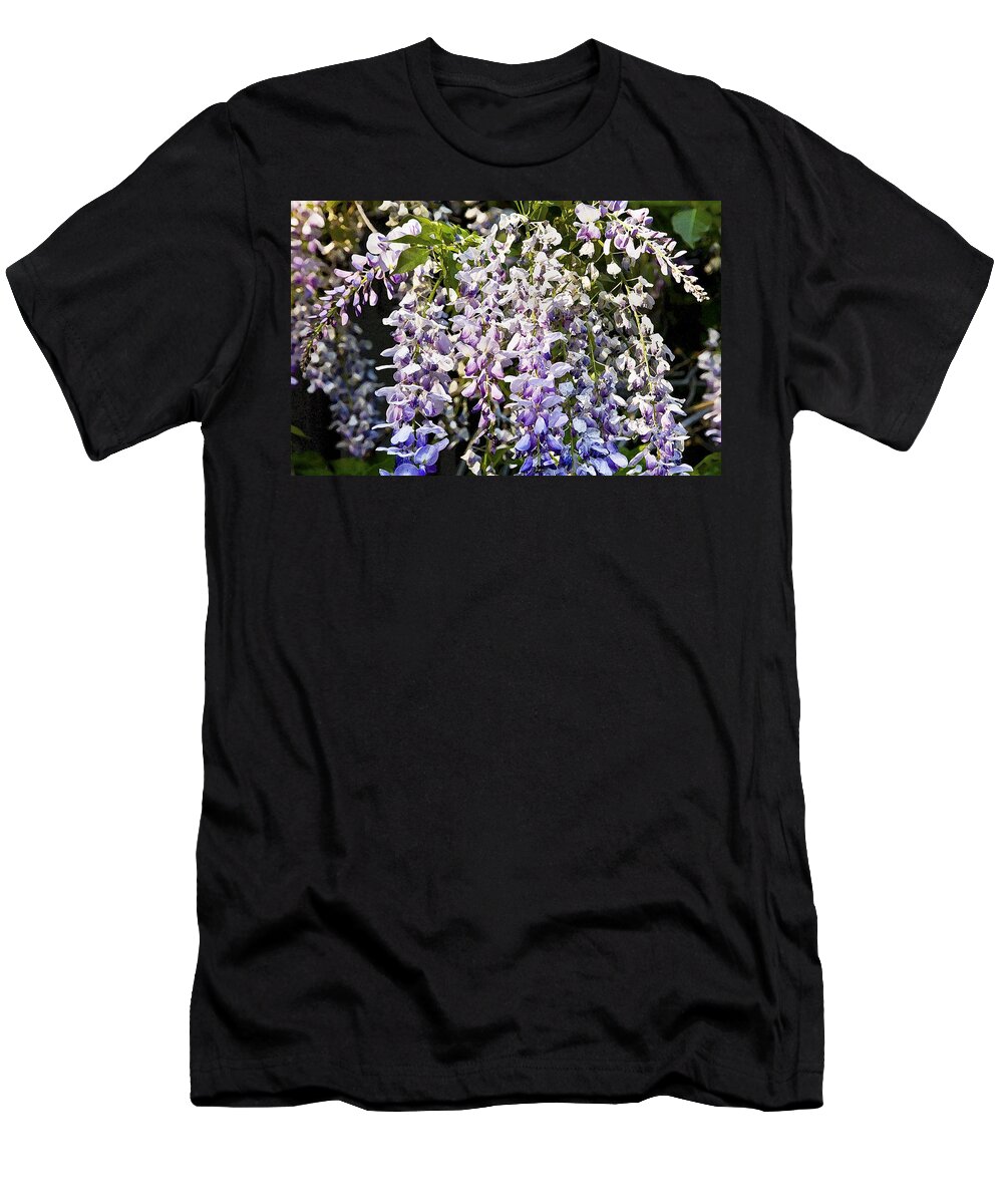 Wisteria T-Shirt featuring the photograph Nancys Wisteria cropped DB by Rich Franco
