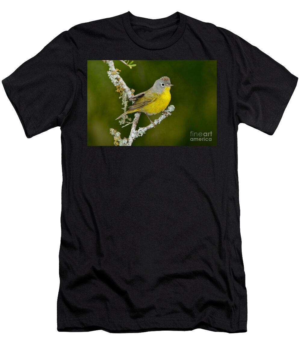 Nashville Warbler T-Shirt featuring the photograph Nashville Warbler by Anthony Mercieca