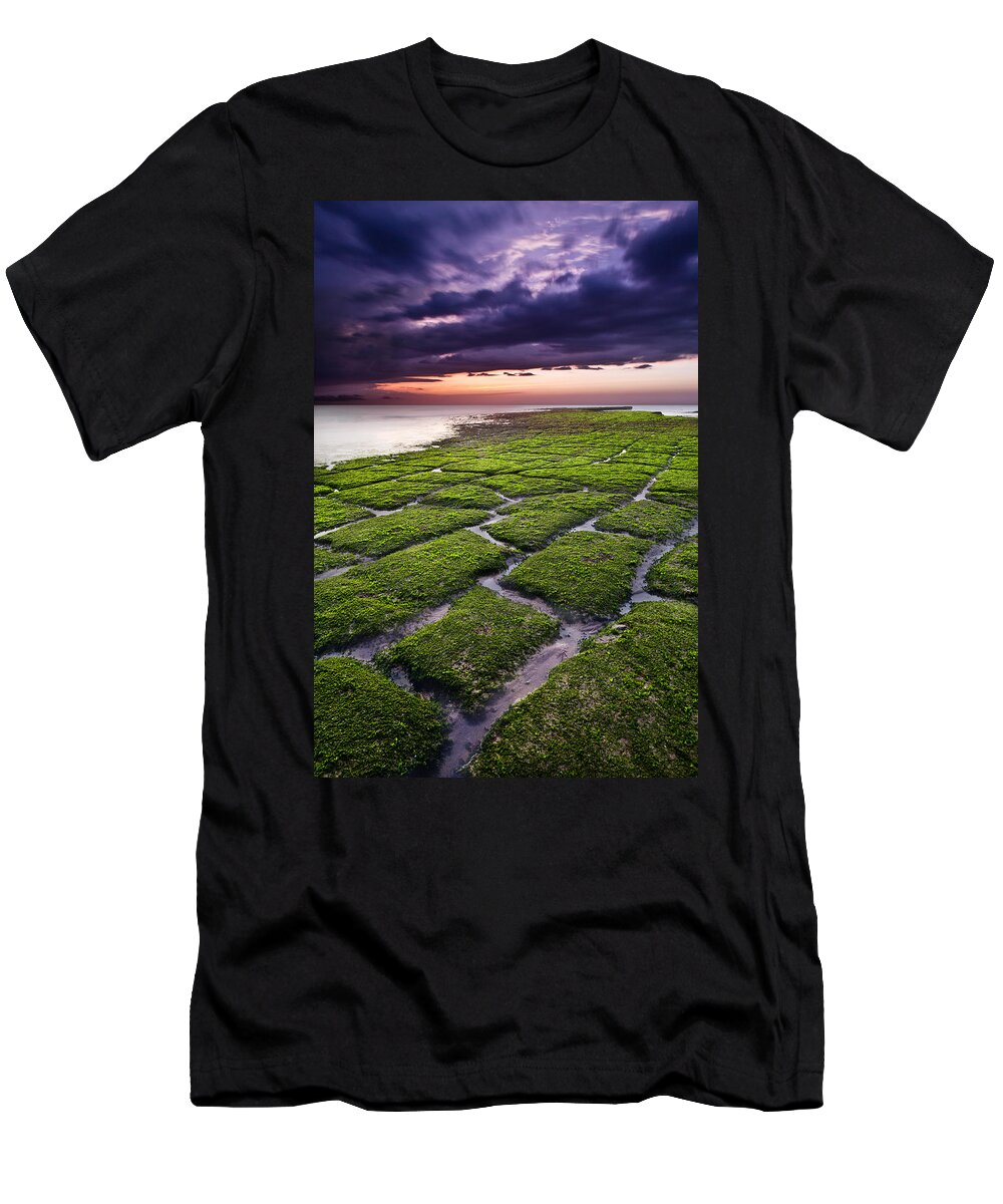 Beach T-Shirt featuring the photograph Nature's promenade by Jorge Maia
