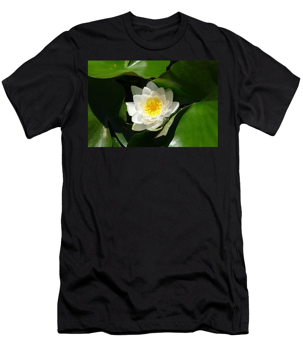 White T-Shirt featuring the photograph Nestled-in-Leaves by Nora Boghossian