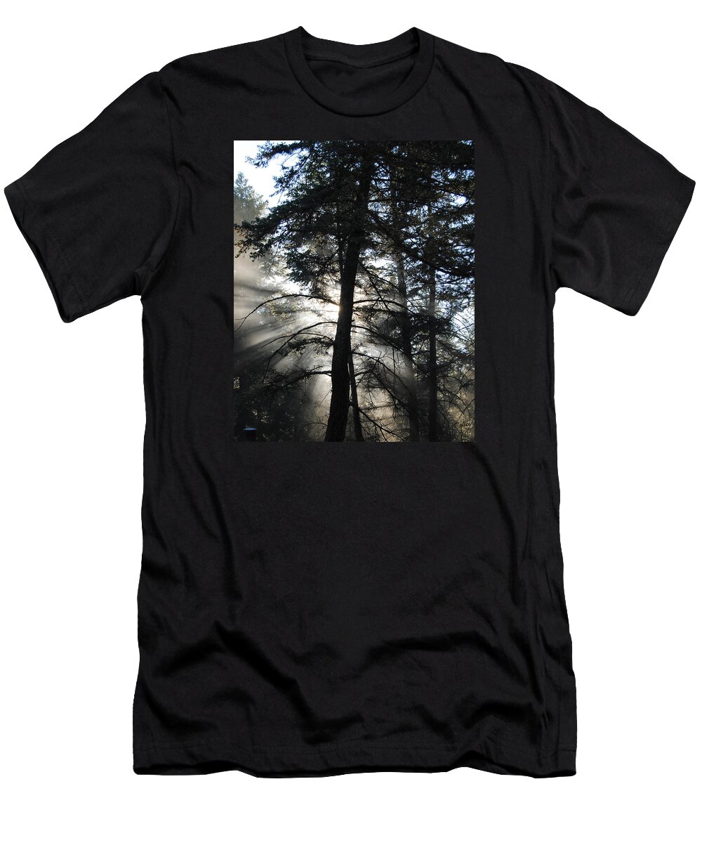 Landscape T-Shirt featuring the photograph Northwoods Morning by Vallee Johnson