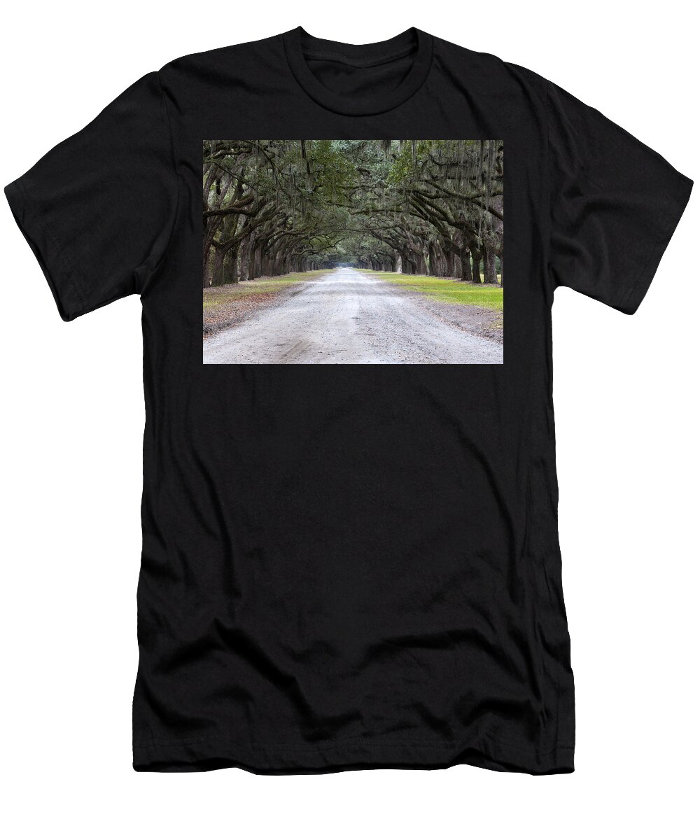 Scenery T-Shirt featuring the photograph Oak Avenue by Kenneth Albin