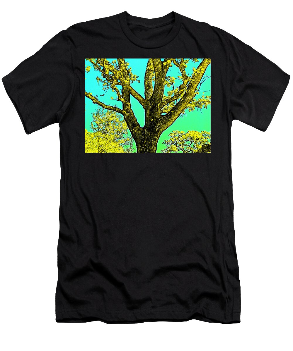 Oak Tree T-Shirt featuring the photograph Oaks 3 by Pamela Cooper