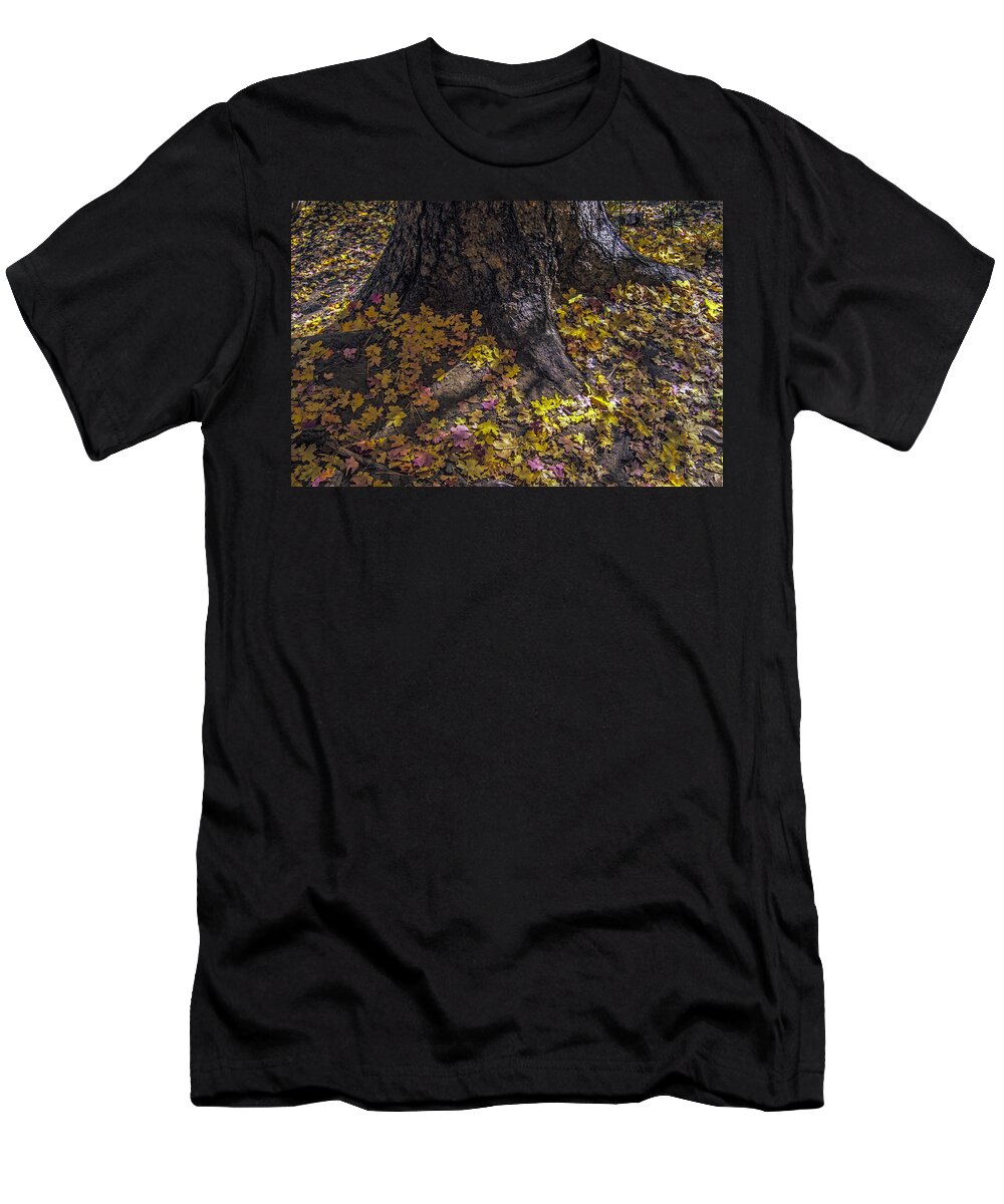 West Fork T-Shirt featuring the photograph Offerings by Tam Ryan