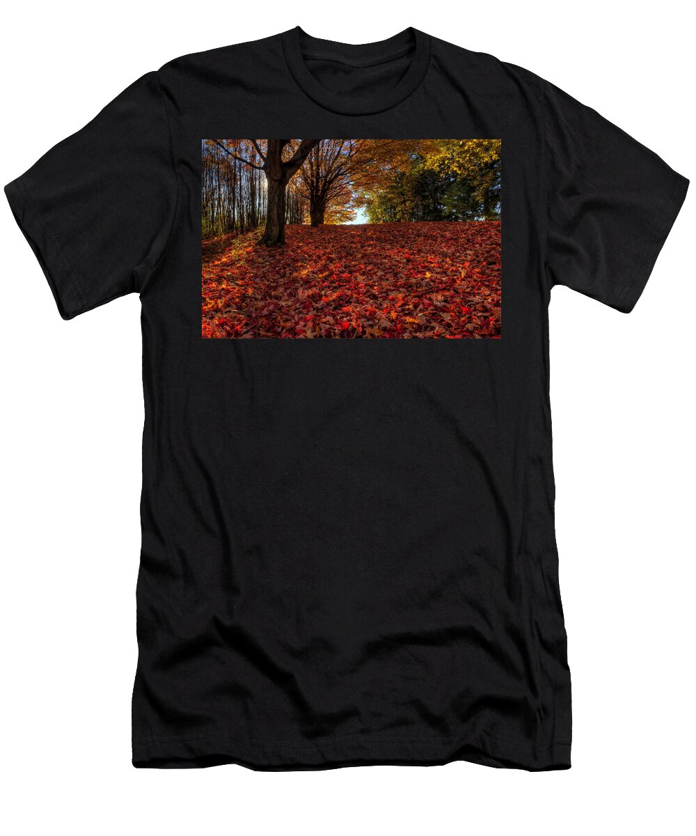 Fall Foliage T-Shirt featuring the photograph Ohio Fall Scenery by David Dufresne