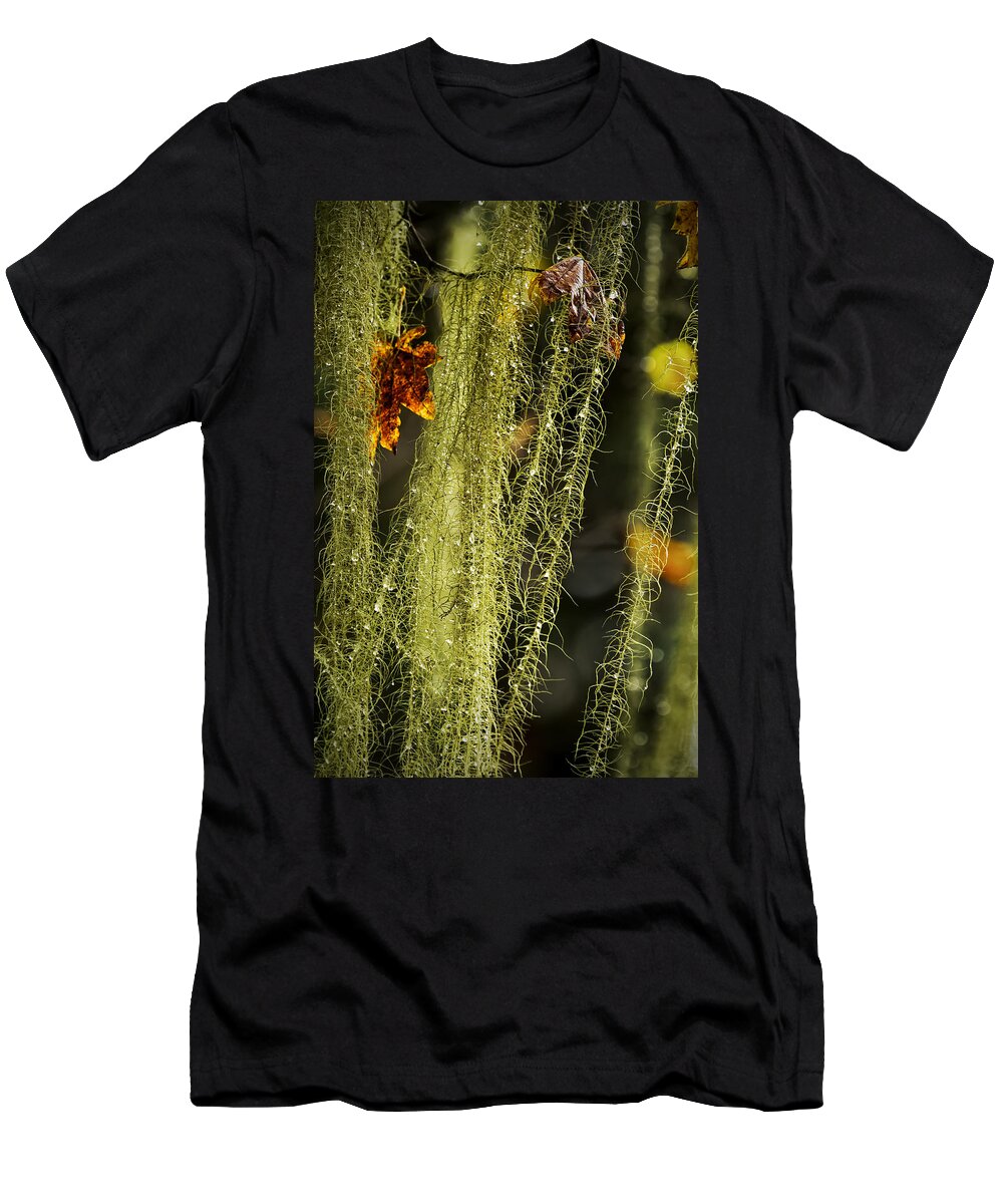 Usnea T-Shirt featuring the photograph Old Man's Beard Lichen by Belinda Greb