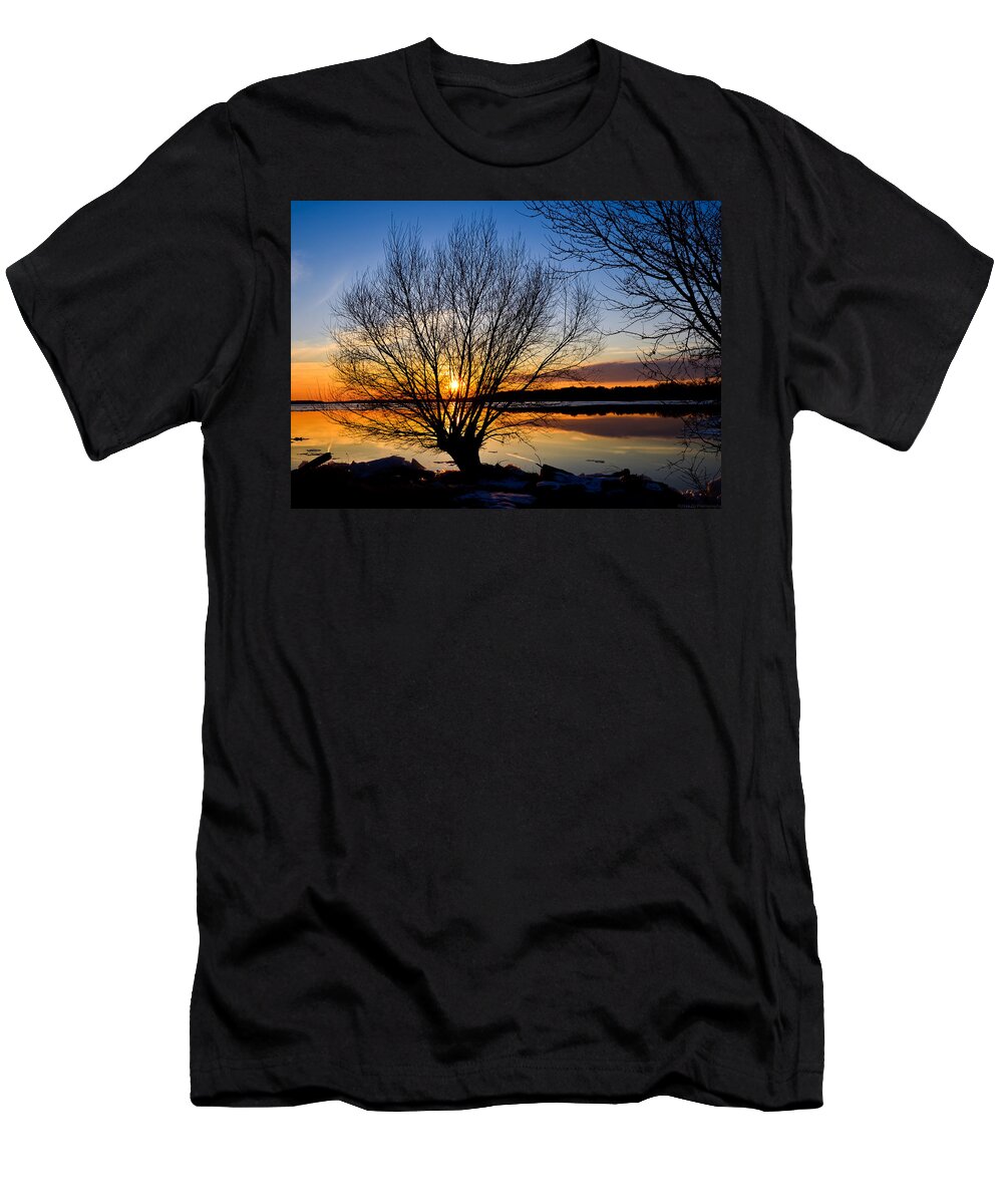 Fort Washington T-Shirt featuring the photograph On Point by Jeff at JSJ Photography