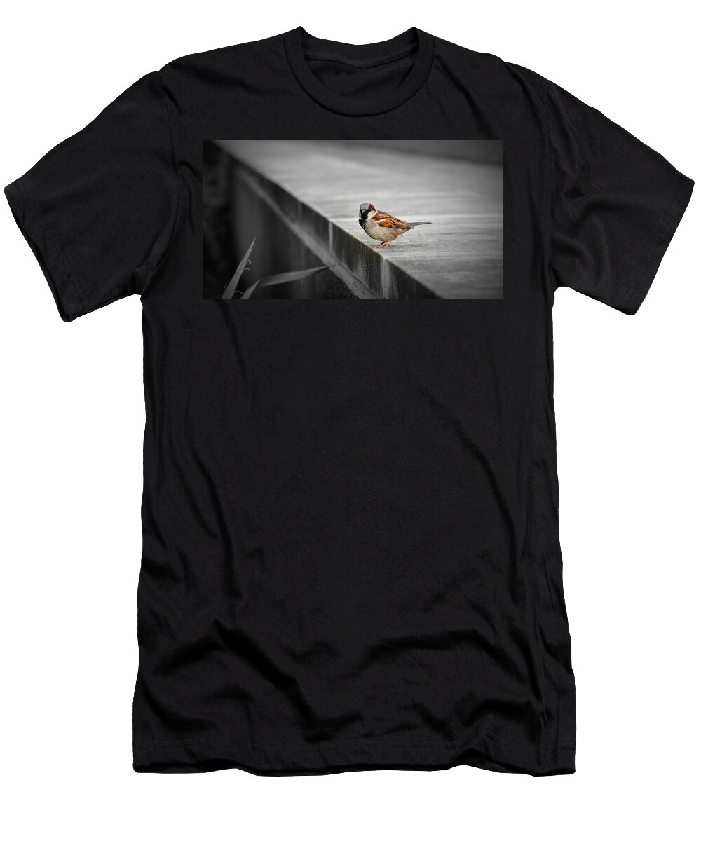 Bird T-Shirt featuring the photograph On the Edge by Andrea Platt