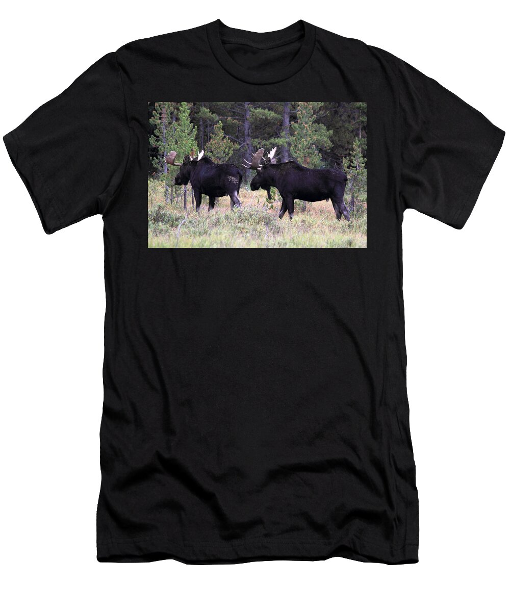 Moose T-Shirt featuring the photograph Only A Step Behind by Shane Bechler