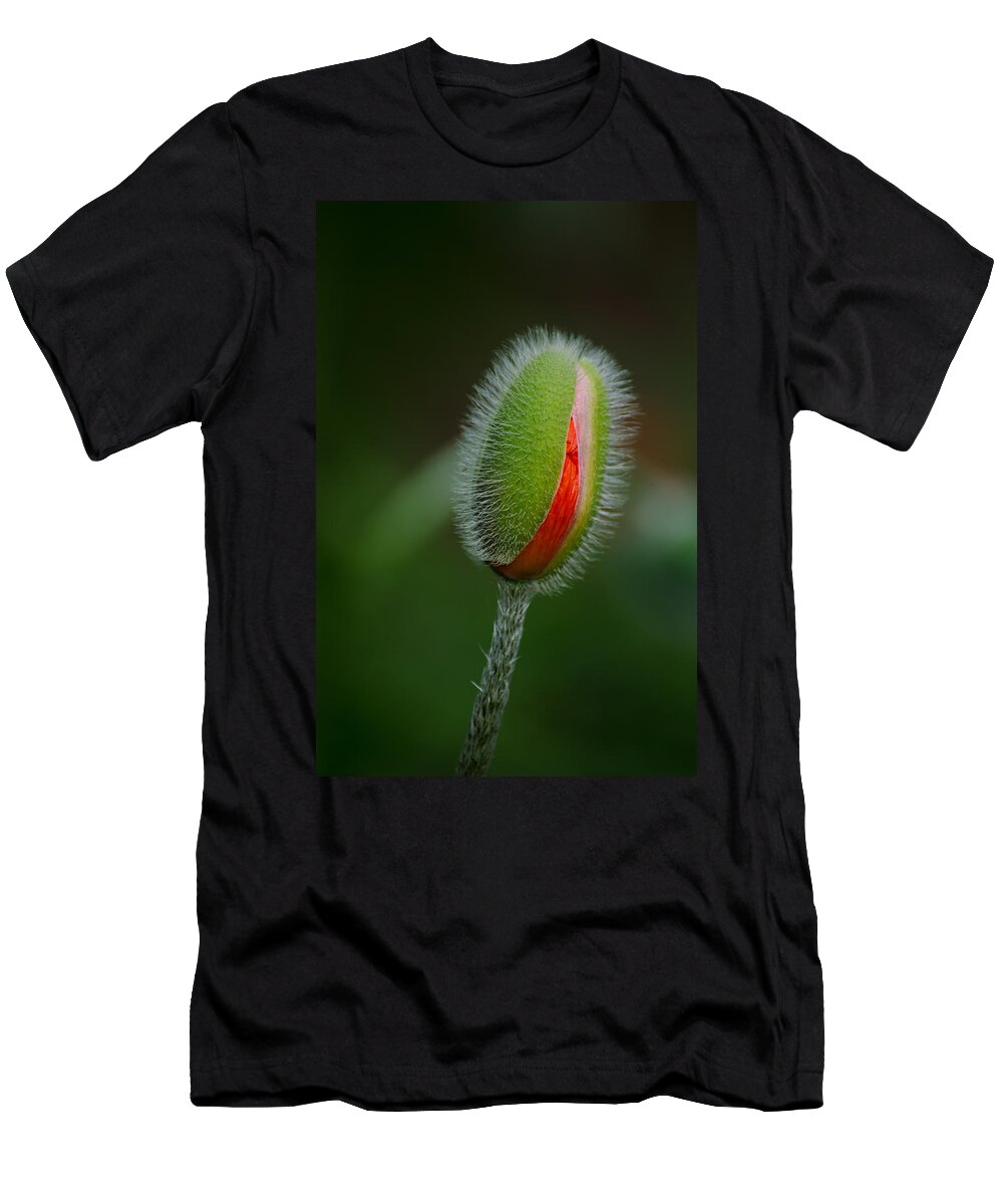 Garden T-Shirt featuring the photograph Orange Budding Poppy by Tikvah's Hope