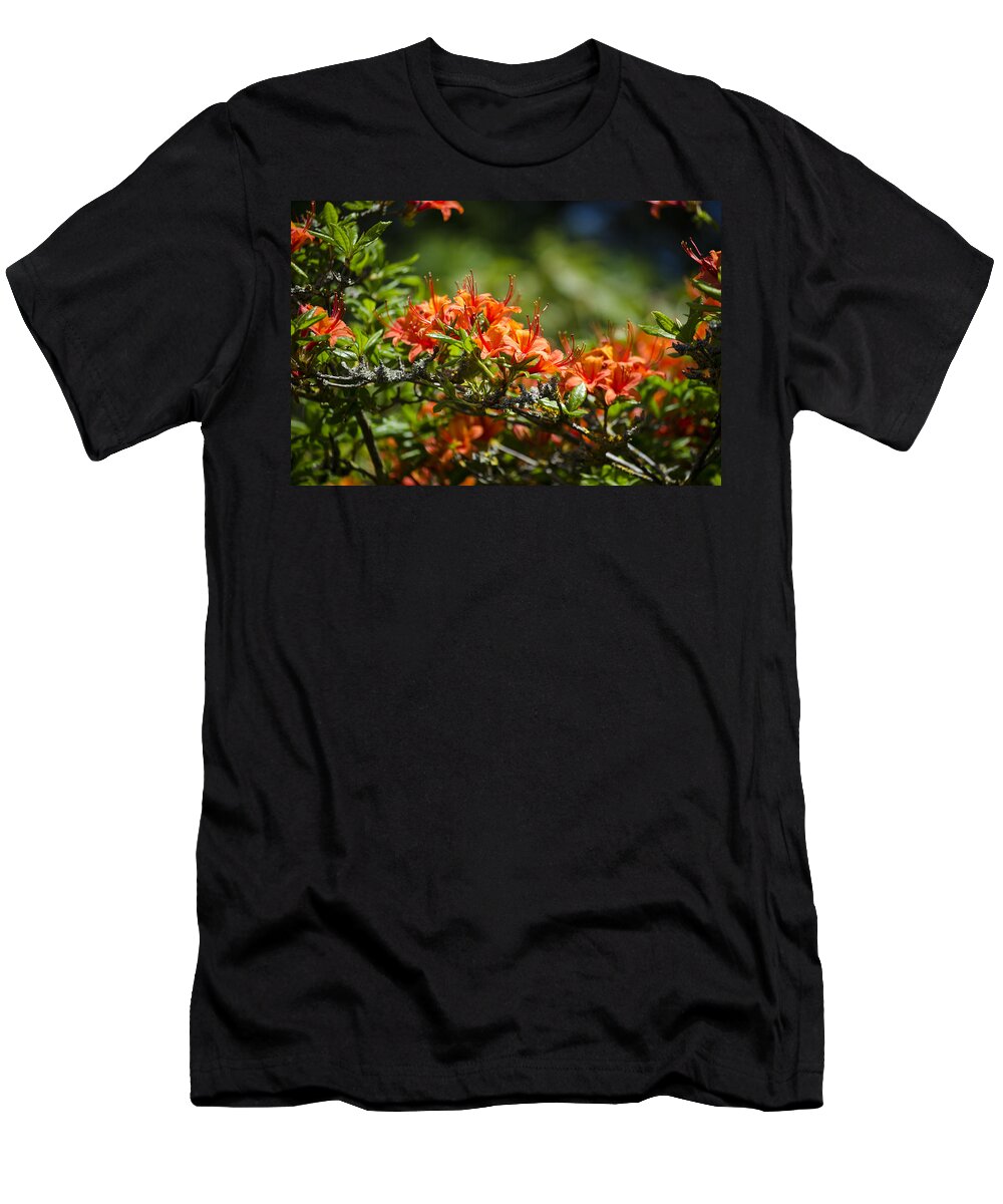 Orange T-Shirt featuring the photograph Orange Rhododendron by Spikey Mouse Photography