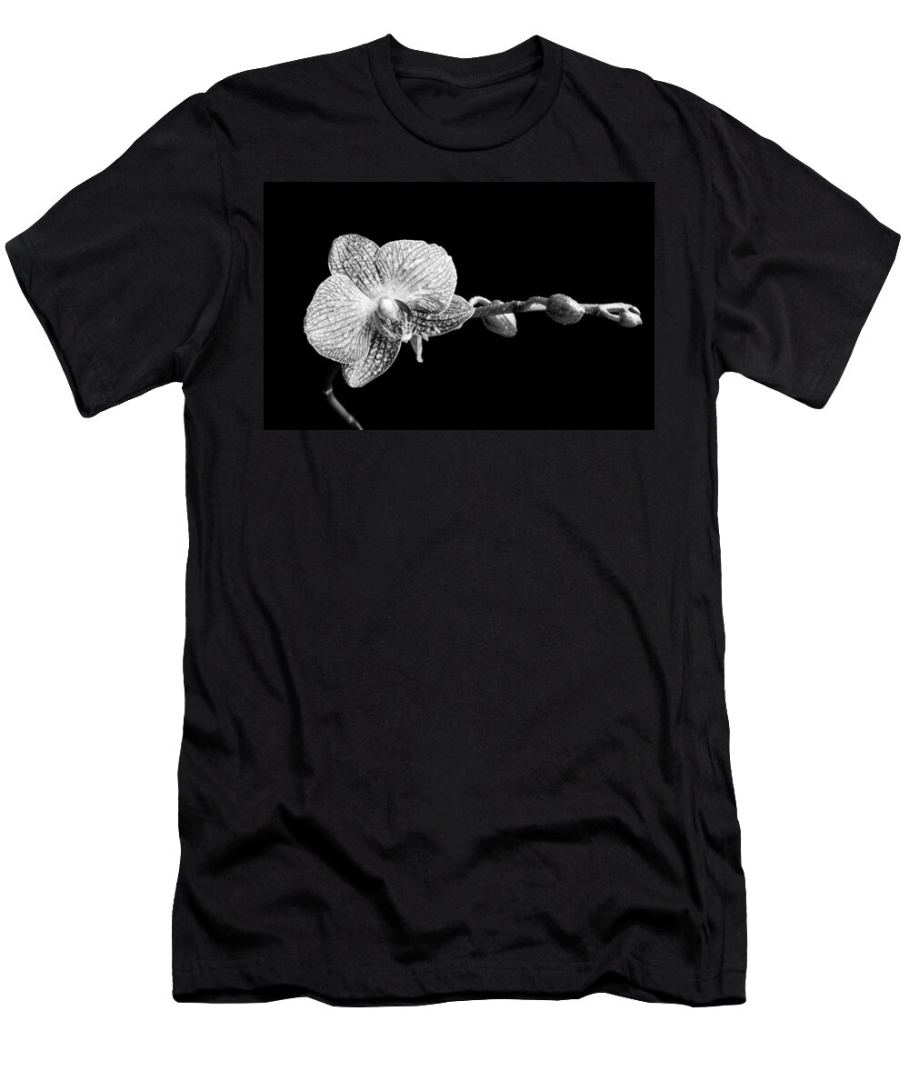 Orchid T-Shirt featuring the photograph Orchid Phalaenopsis flower by Michalakis Ppalis