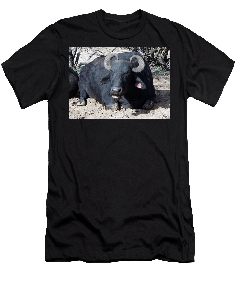 Out Of Africa T-Shirt featuring the photograph Out of Africa Water BuFFALO by Phyllis Spoor