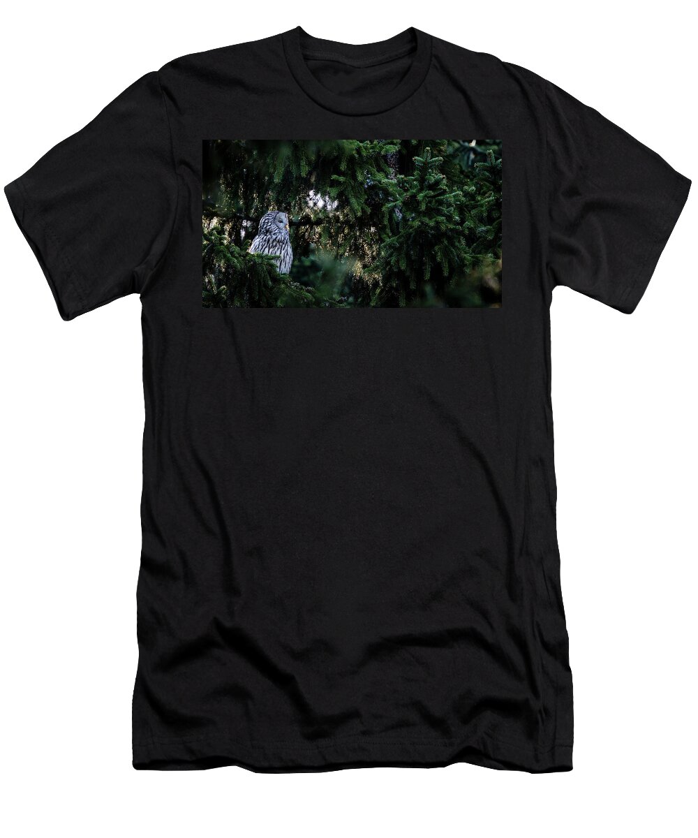 Wildlife T-Shirt featuring the photograph Owl And Spruce, Strix Uralensis, Picea by Raffi Maghdessian