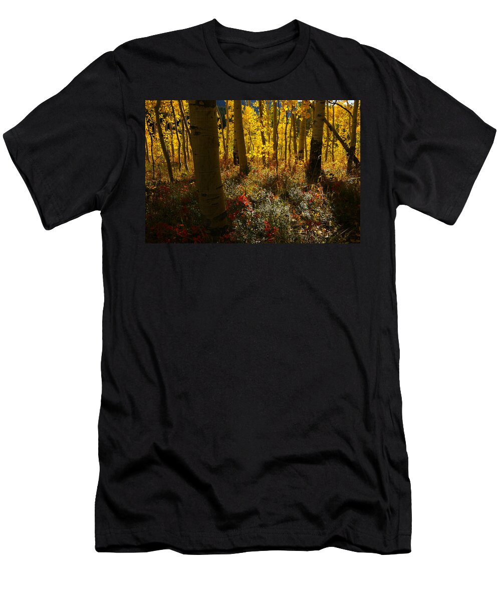 Colorado T-Shirt featuring the photograph Painted Forest by Jeremy Rhoades