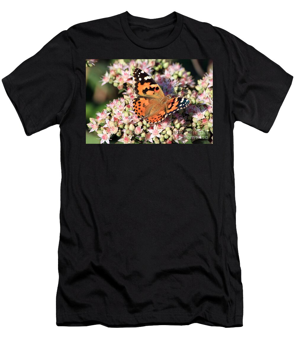 Butterfly T-Shirt featuring the photograph Painted Lady Butterfly by Teresa Zieba