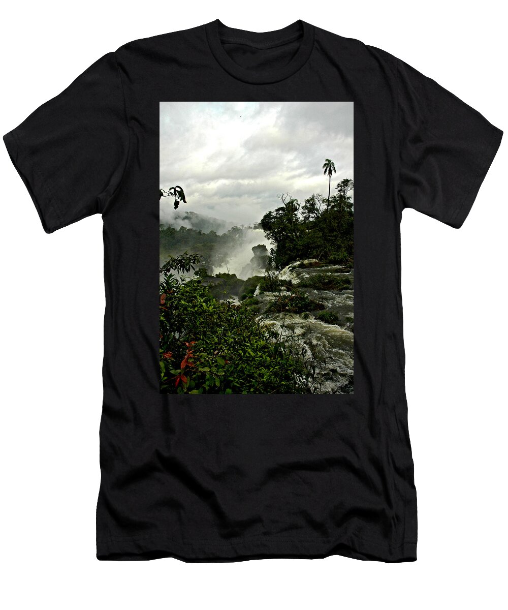 Iguazu Falls T-Shirt featuring the photograph Palm Sentry at Iguazu by Norman Johnson