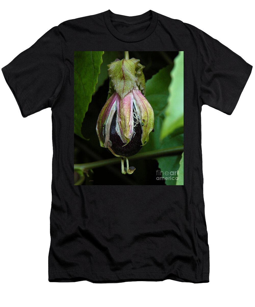 Passion Fruit T-Shirt featuring the photograph Passion Fruit 10-17-13 by Julianne Felton by Julianne Felton