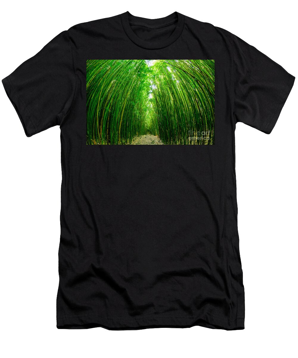 Hawaii T-Shirt featuring the photograph Path through a bamboo forrest on Maui Hawaii USA by Don Landwehrle