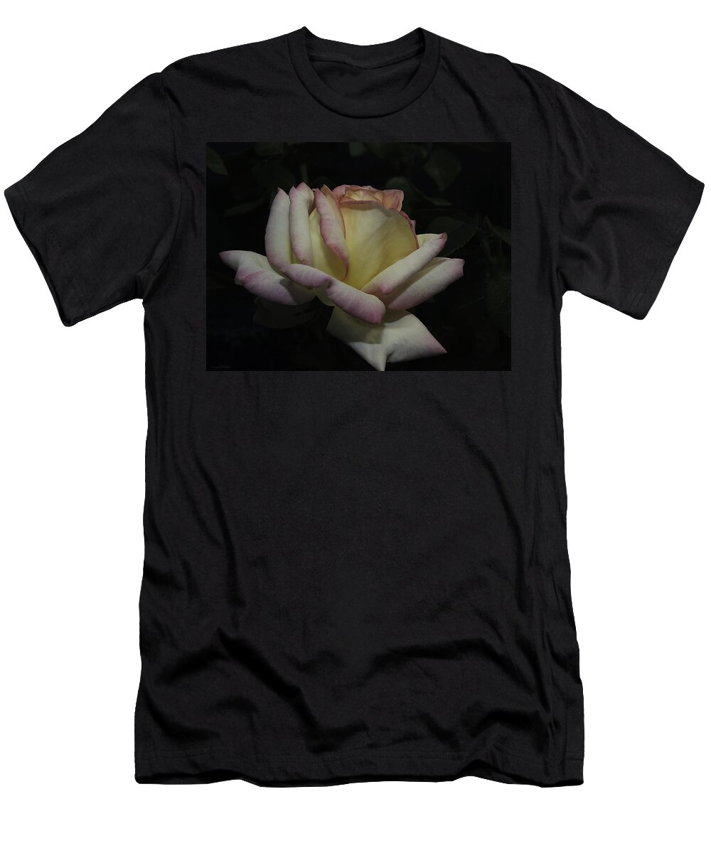 Roses T-Shirt featuring the photograph Peace to You and Yours by Lucinda Walter