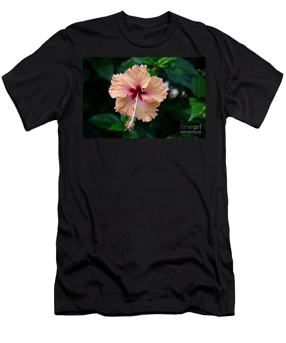 Peach T-Shirt featuring the photograph Peach and deep purple hibiscus flower by Imran Ahmed
